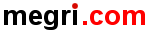 Search engine and web directory