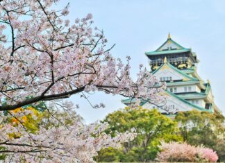 How To Spend 2 Weeks Exploring Japan: A Guide 2 Weeks Exploring Japan