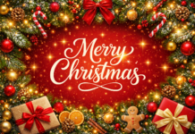 Merry Christmas: Festivities, Values, Community, and the Joy of the Season Merry Christmas