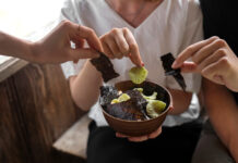 The Beginners Guide To Using Kratom The Beginners Guide To Using Kratom