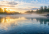 4 Easy Ways To Revive Large Ponds Large Ponds