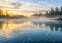 4 Easy Ways To Revive Large Ponds Large Ponds