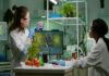 Sustainable Innovation in Medical Device Manufacturing: Key Strategies and Emerging Trends Medical Device