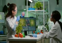Sustainable Innovation in Medical Device Manufacturing: Key Strategies and Emerging Trends Medical Device