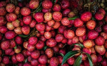 A Beginner’s Guide to Growing Lychee in Your Home Garden Guide to Growing Lychee
