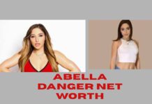 Abella Danger Net Worth: Identifying a Digital Star’s Financial Path Abella Danger Net Worth