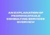 An explanation of Pedrovazpaulo Consulting Services’ overview Pedrovazpaulo
