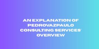 An explanation of Pedrovazpaulo Consulting Services’ overview Pedrovazpaulo