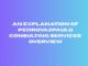 An explanation of Pedrovazpaulo Consulting Services’ overview Pedrovazpaulo