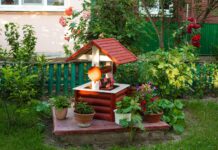 Smart Ways to Keep Your Backyard Features Looking New Backyard Features