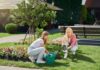 How to Start a Backyard Garden: A Complete Beginner’s Guide Backyard Garden