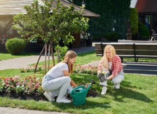 How to Start a Backyard Garden: A Complete Beginner’s Guide Backyard Garden