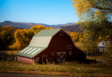 Barndominium Design: Tracing The Transformation From Barns To Dream Homes Barndominium Design