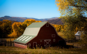 Barndominium Design: Tracing The Transformation From Barns To Dream Homes Barndominium Design
