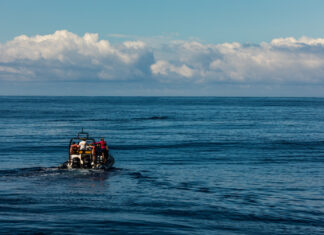 How Bilge Pumps Keep Boats Safe Bilge Pumps