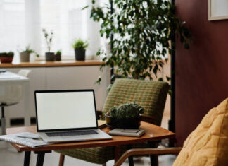 Incorporating Biophilic Design in Modern Architecture Biophilic Design