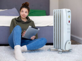 BlumeHeat: Does This Heater Satisfy Promises or Does It Fall Short? BlumeHeat