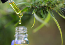 The Many Benefits of CBD: Balancing Wellness and Lifestyle CBD