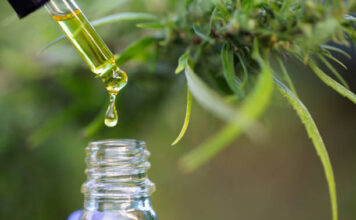 The Many Benefits of CBD: Balancing Wellness and Lifestyle CBD