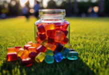 13 Reasons CBD Infused Gummies Are The Sweetest Natural Relief CBD Infused Gummies