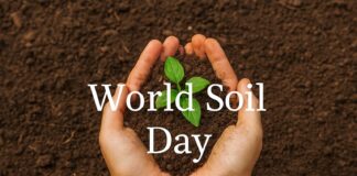 World Soil Day: Understanding the Global Importance of Healthy Soils for Sustainable Development World Soil Day