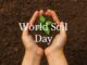 World Soil Day: Understanding the Global Importance of Healthy Soils for Sustainable Development World Soil Day