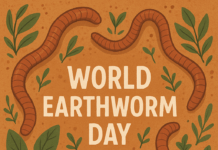 World Earthworm Day : Importance, Benefits, and Conservation of Nature’s Soil Builders World Earthworm Day