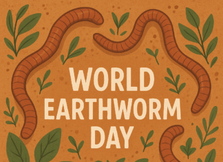 World Earthworm Day : Importance, Benefits, and Conservation of Nature’s Soil Builders World Earthworm Day