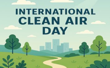 International Clean Air Day: Significance, Origins, and Steps You Can Take International Clean Air Day