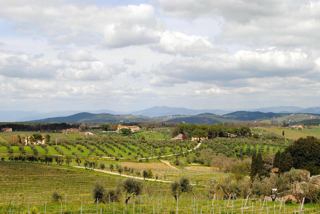 Chianti hills