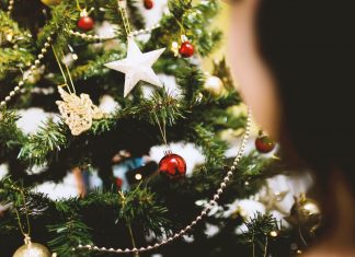 Christmas Decorations At The White House 2019