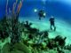 Cold Water Diving: Where to Go and What to Do Cold Water Diving