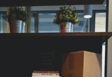 Cost-Effective Shipping Box Solutions for Small Businesses Shipping Box Solutions