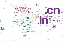 Country Code Top Level Domain (ccTLD)