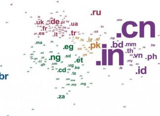 Country Code Top Level Domain (ccTLD)