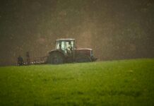 Everything Homeowners Should Know About Deck Size and Cutting Performance in Zero-Turn Mowers Cutting Performance in Zero-Turn Mowers