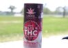 7 Best Delta 9 Drinks in 2026 Delta 9 Drinks