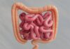 How Safer Imaging Techniques Are Changing Digestive Health