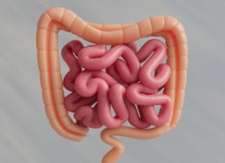 How Safer Imaging Techniques Are Changing Digestive Health