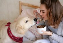 How to Choose the Right Digestive Supplement for Your Dog Digestive Supplement for Your Dog