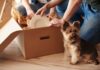 Essential Items to Pack for Your Dog’s Boarding Experience Dog's Boarding