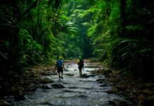 Ecotourism Destinations: Where Sustainability Meets Adventure Ecotourism Destinations