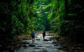 Ecotourism Destinations: Where Sustainability Meets Adventure Ecotourism Destinations