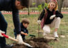 Effective Strategies for Nurturing Urban Trees: A Comprehensive Guide Effective Strategies for Nurturing Urban Trees
