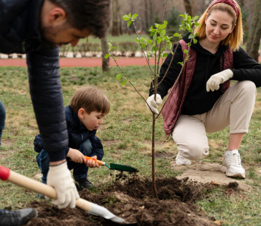 Effective Strategies for Nurturing Urban Trees: A Comprehensive Guide Effective Strategies for Nurturing Urban Trees