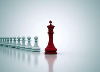 Factors For An Effective Leadership In Organizations