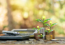 Financial Management for the Modern Investor: Strategies to Boost Your Portfolio Financial Management