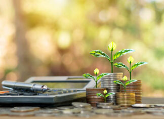 Financial Management for the Modern Investor: Strategies to Boost Your Portfolio Financial Management