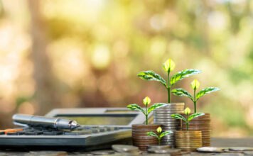 Financial Management for the Modern Investor: Strategies to Boost Your Portfolio Financial Management