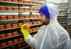 The Unseen Safety Protocols Keeping Our Modern Food Supply Contaminant Free The Unseen Safety Protocols Keeping Our Modern Food Supply Contaminant Free